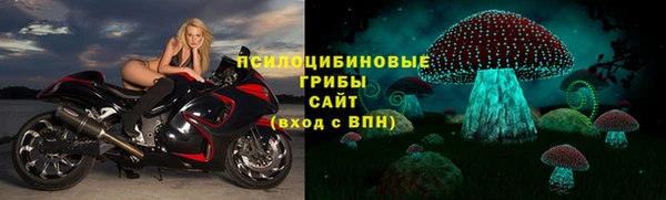 Альфа ПВП Дмитров