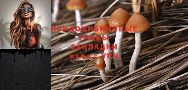 Альфа ПВП Дмитров