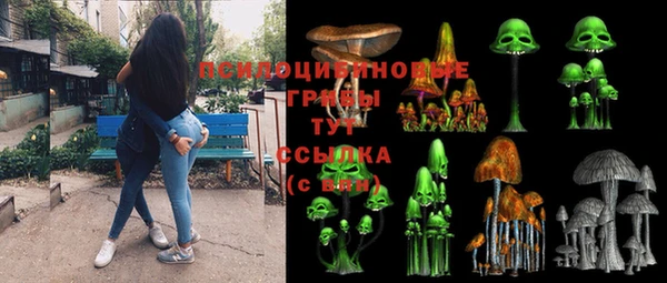 Альфа ПВП Дмитров