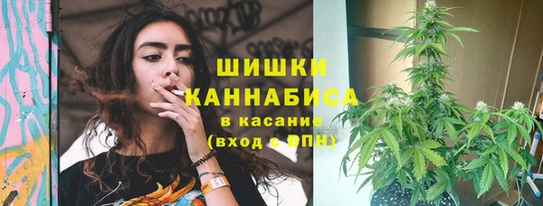 Альфа ПВП Дмитров